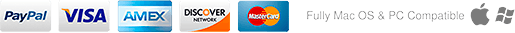 payment-1 null